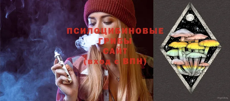 Галлюциногенные грибы Cubensis  гидра вход  Ивдель  купить наркотики сайты 